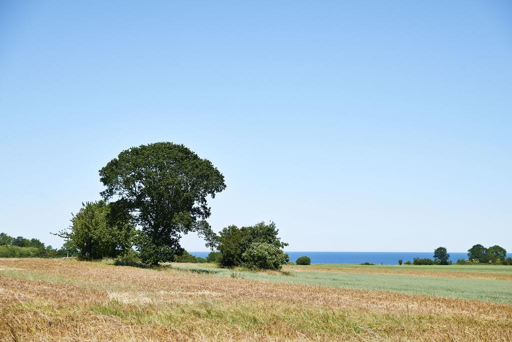 Ronne Vandrerhjem エクステリア 写真